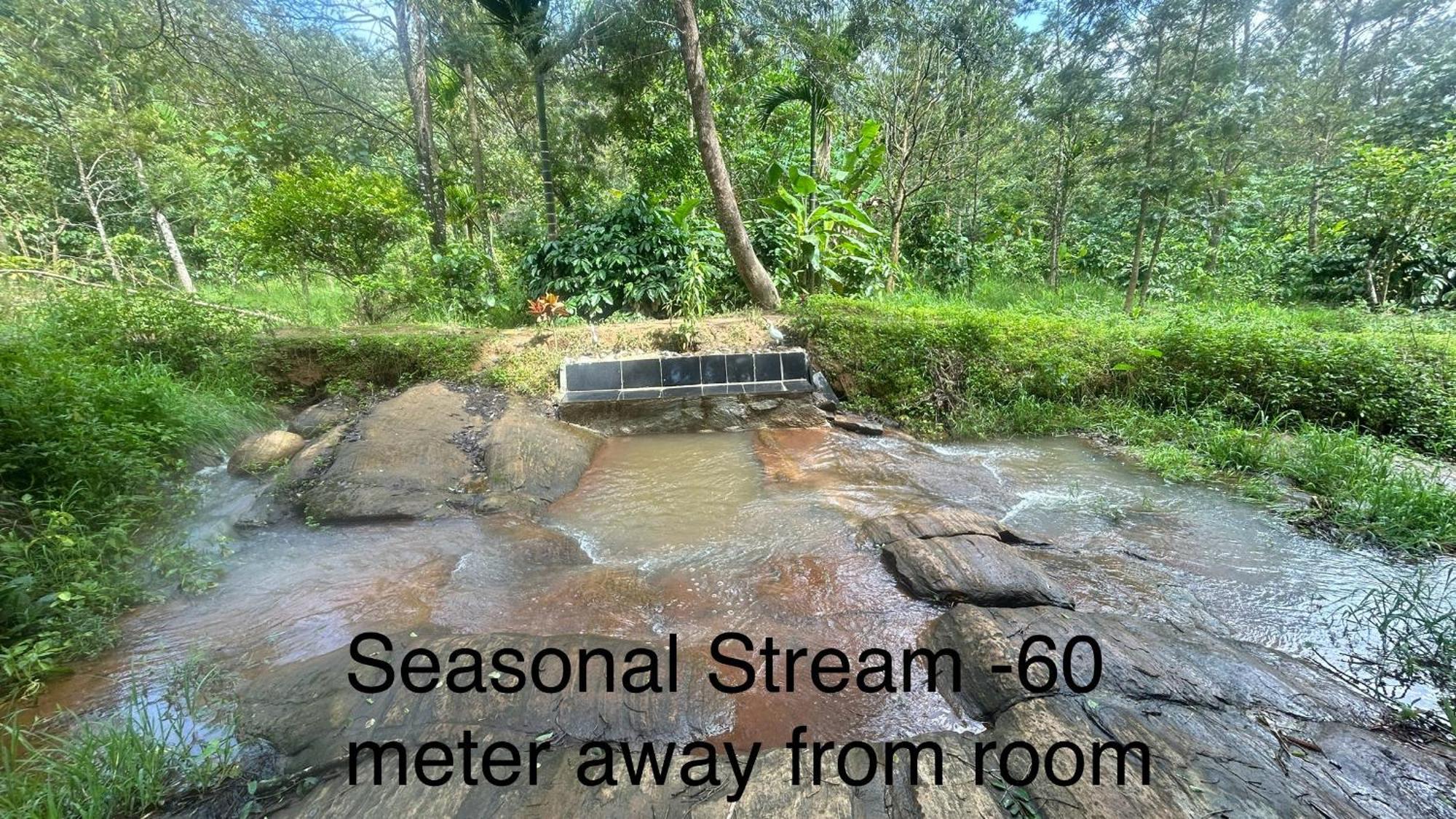 Doddakallu Betta Homestay Coorg Somvārpet Exterior foto